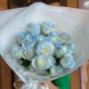 Sky Whisper Roses