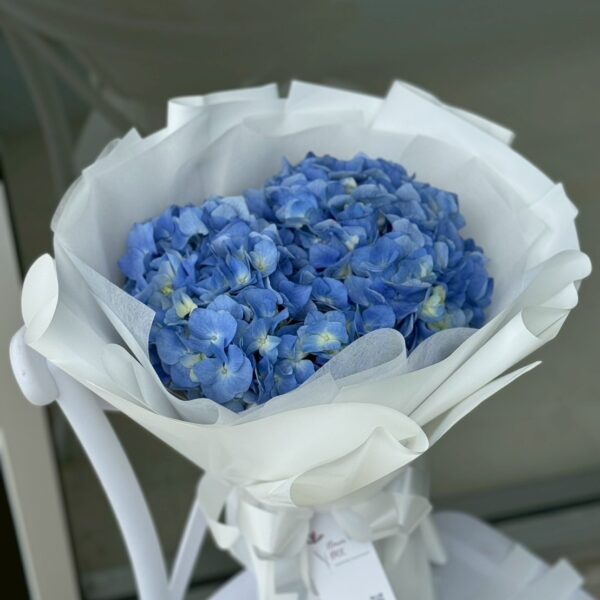 Blue Hydrangea Hug