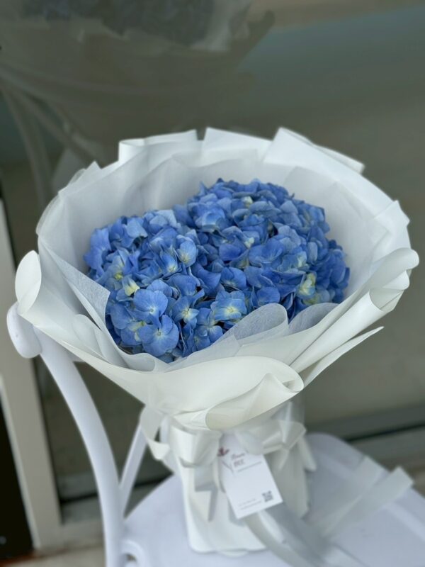 Blue Hydrangea Hug