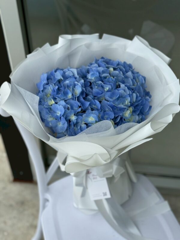 Blue Hydrangea Hug