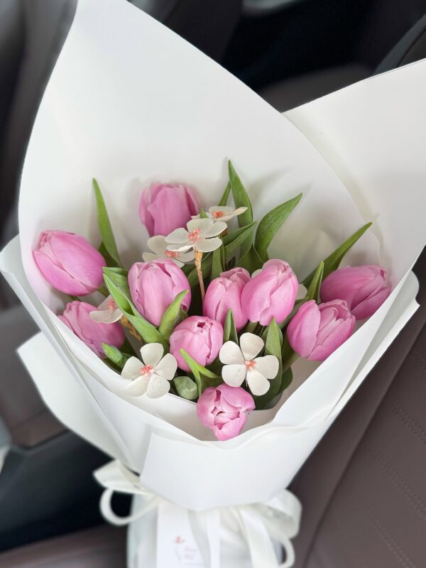My Lovely Tulips
