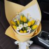 Tulip Daydream