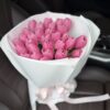 Sweet Tulip Kiss