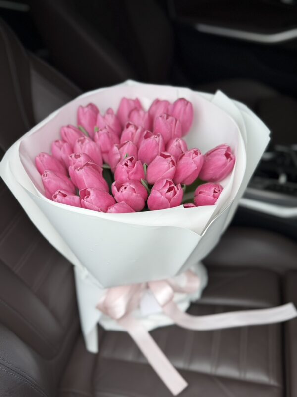 Sweet Tulip Kiss