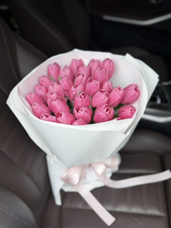 Sweet Tulip Kiss
