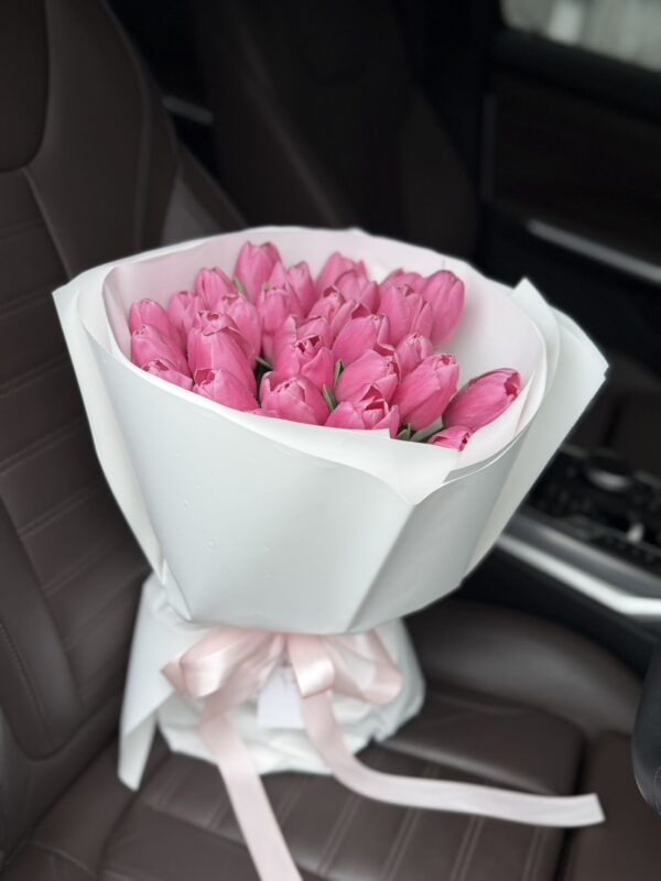 Sweet Tulip Kiss